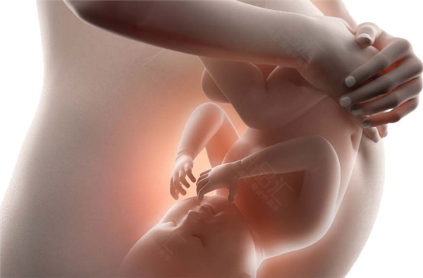 香港查血验男女需要怀孕多少天?